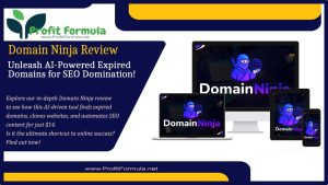 Domain Ninja Review